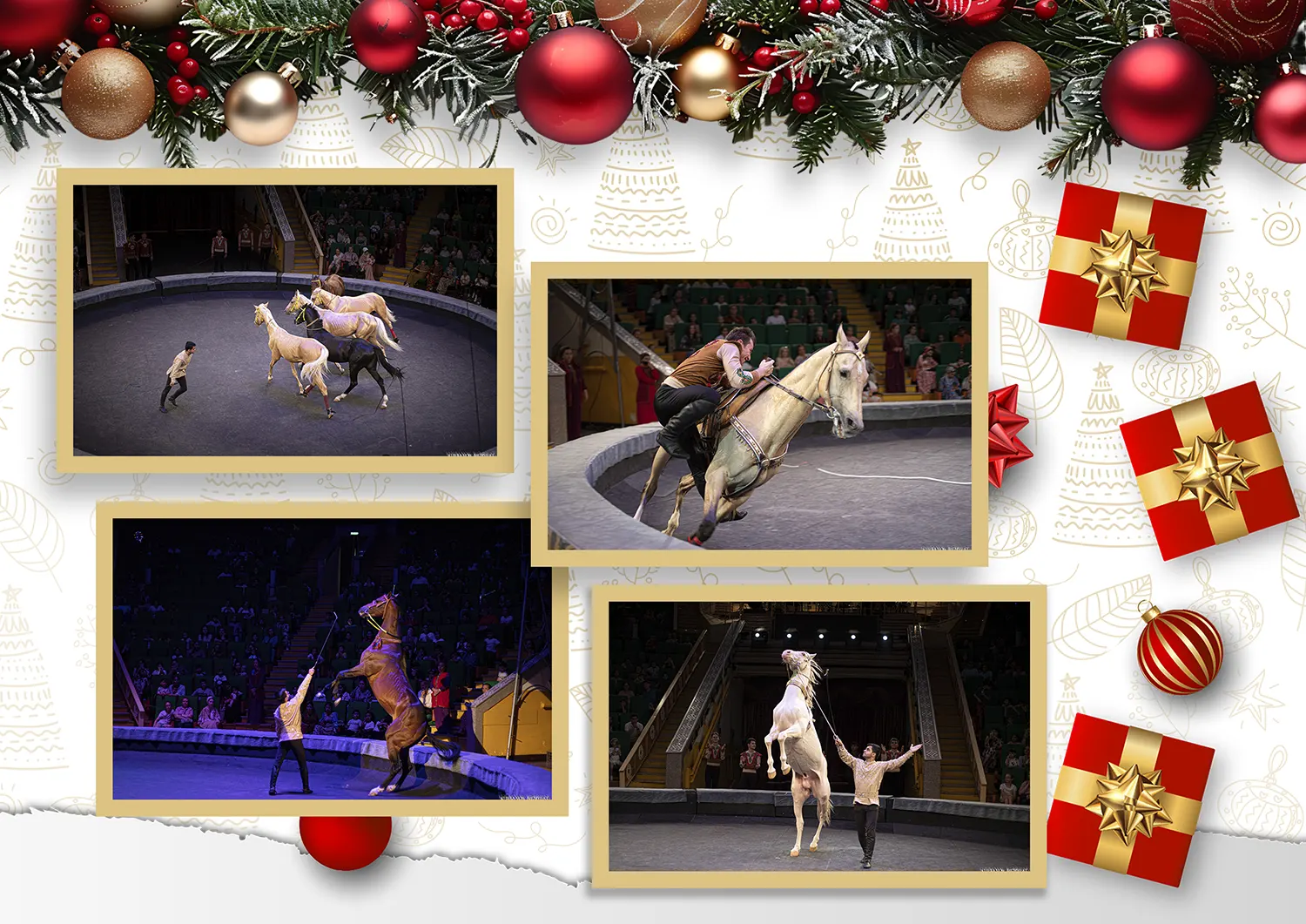 Türkmenistanyň Döwlet sirki