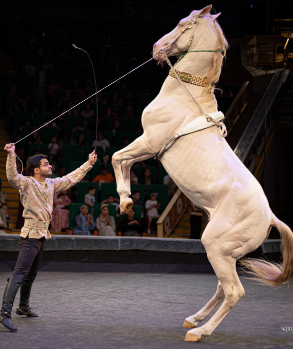 Gyzykly sirk oyunlary