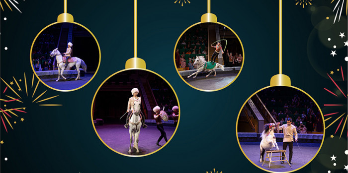 Aýazbaba bilen Garpamygyň  täsin özüne çekiji jadyly çykyşlaryny görüp bilersiňiz.