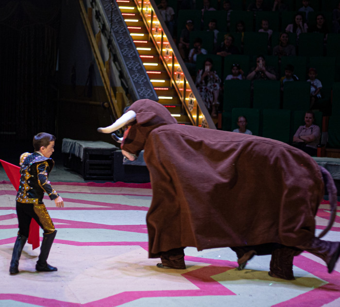 Şowhunly çykyşlar