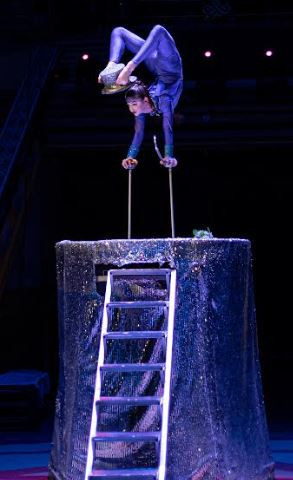 Gyzykly sirk oýunlary