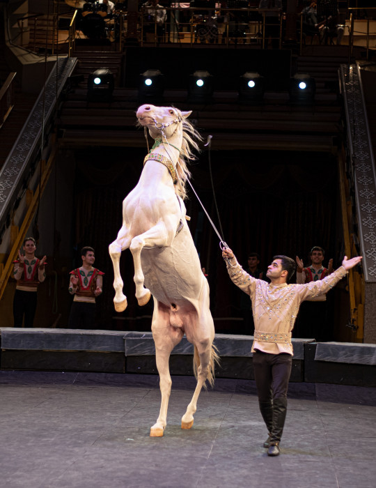 Körpeler siz üçin şowhunly çykyşlar